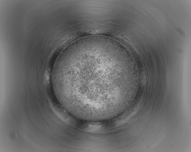 X0000112780214200908271710