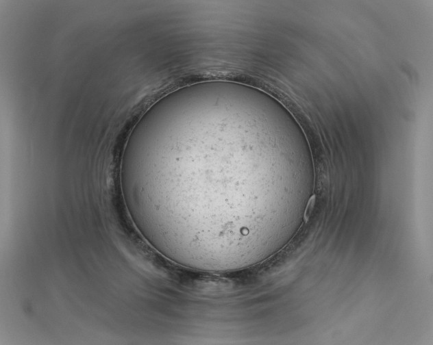 X0000112780215200908271710