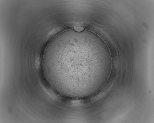 X0000112780216200908271710