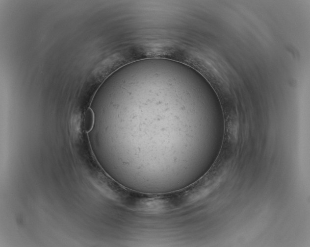 X0000112780219200908271710