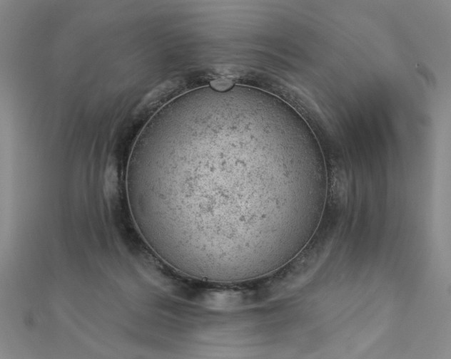 X0000112780220200908271710