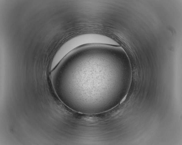 X0000112780221200908271710