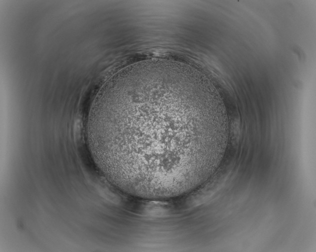 X0000112780222200908271710