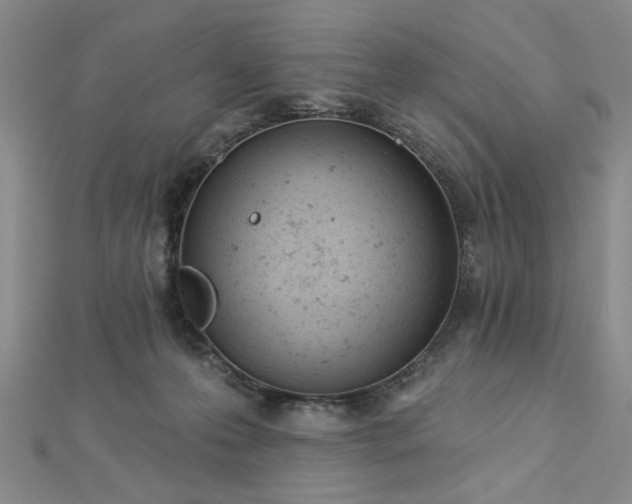 X0000112780223200908271710