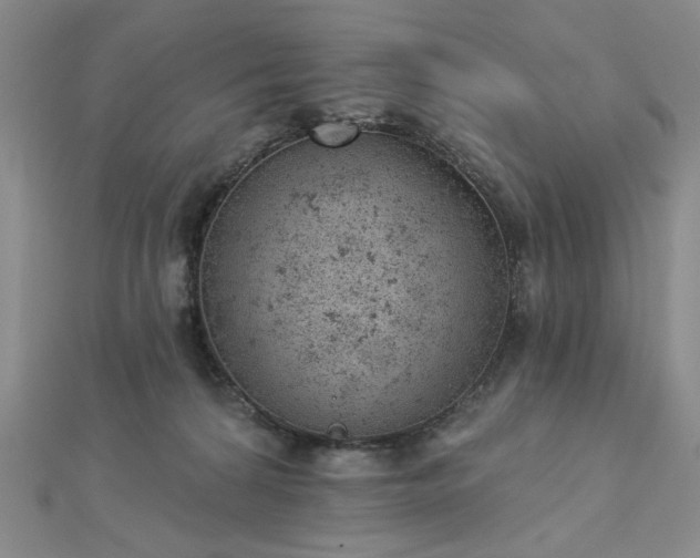 X0000112780224200908271710