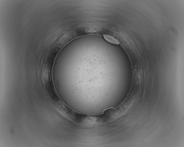 X0000112780227200908271710