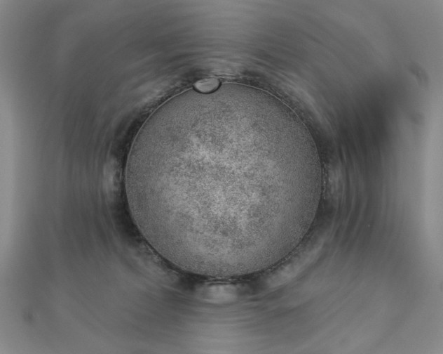 X0000112780228200908271710