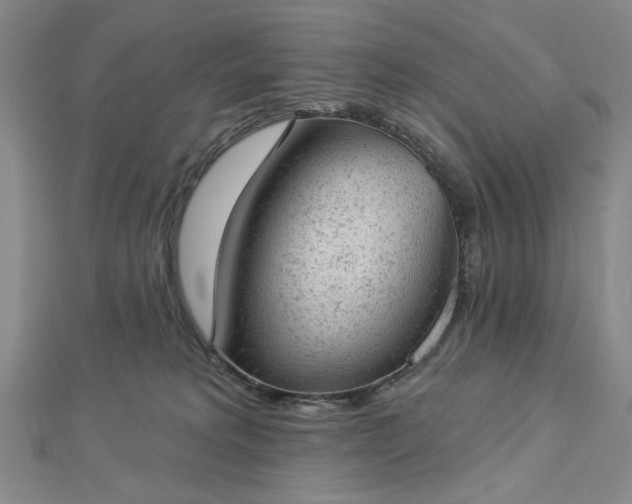 X0000112780229200908271710