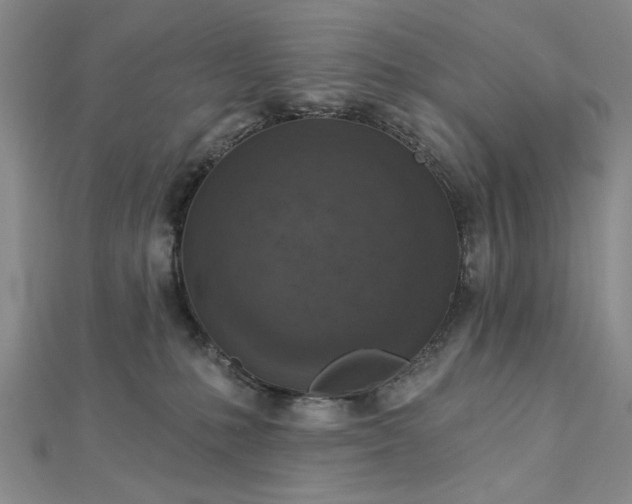 X0000112780231200908271710