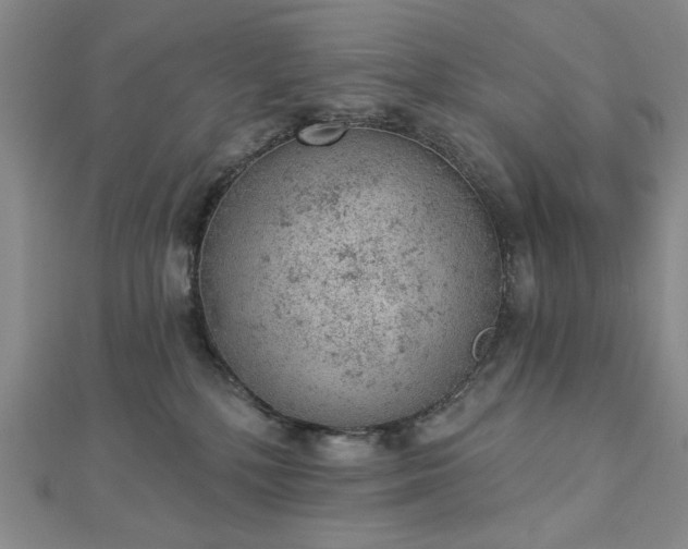 X0000112780232200908271710