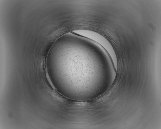 X0000112780233200908271710