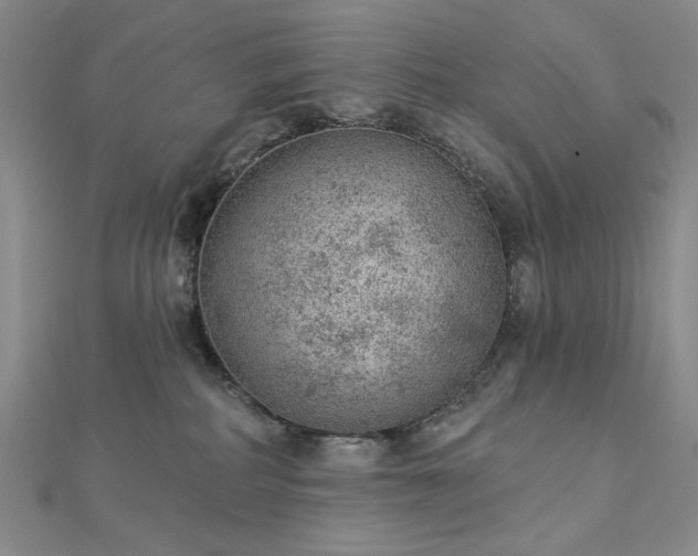 X0000112780234200908271710