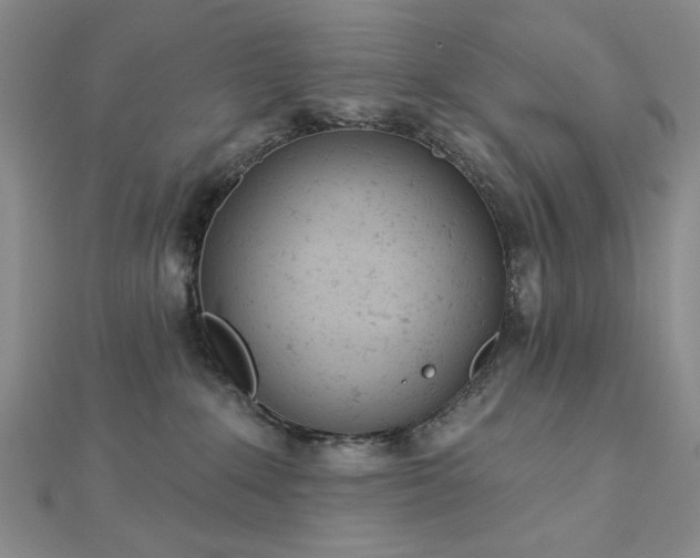 X0000112780235200908271710