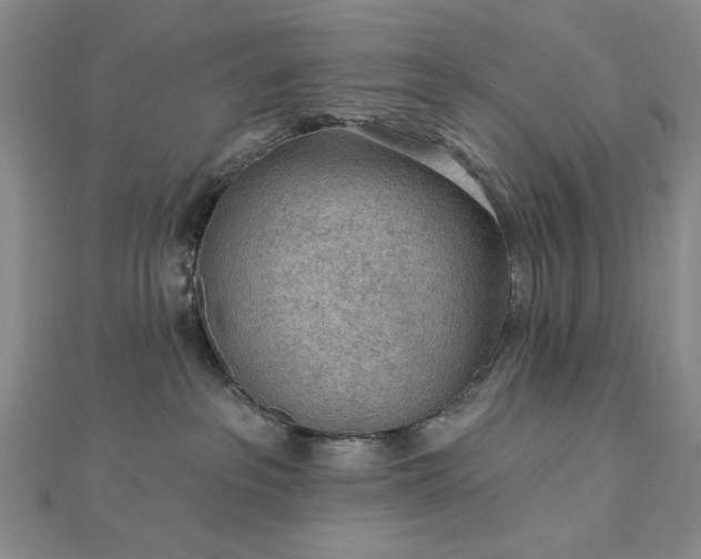 X0000112780237200908271710