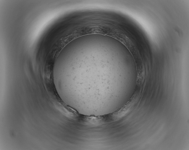 X0000112780239200908271710