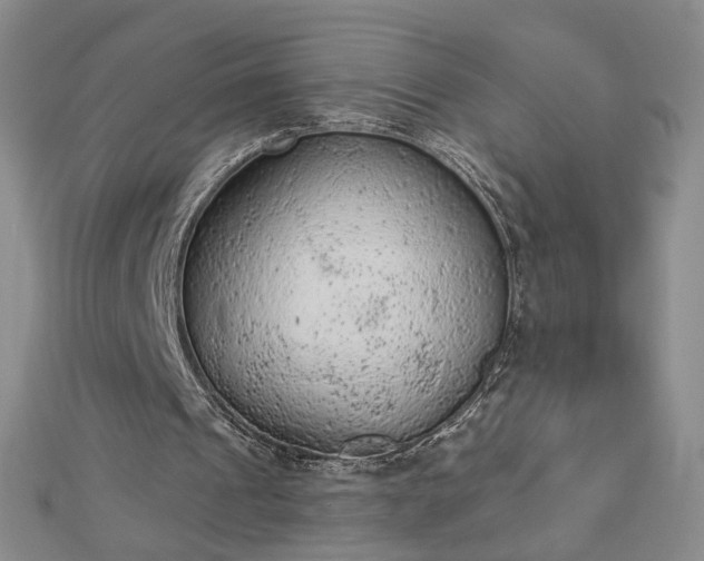 X0000112780241200908271709