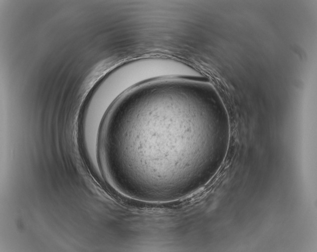 X0000112780242200908271709