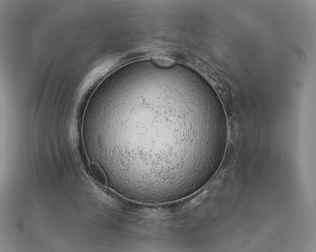 X0000112780245200908271709