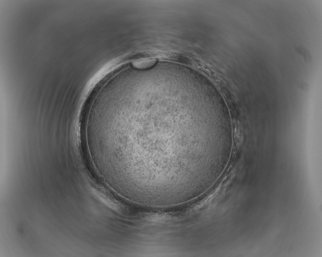 X0000112780246200908271709