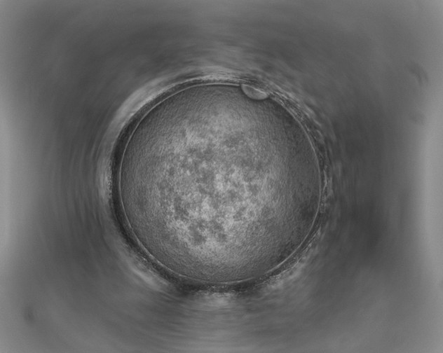 X0000112780247200908271710