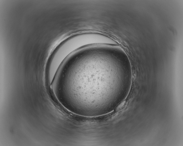 X0000112780248200908271710