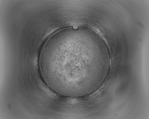 X0000112780249200908271710