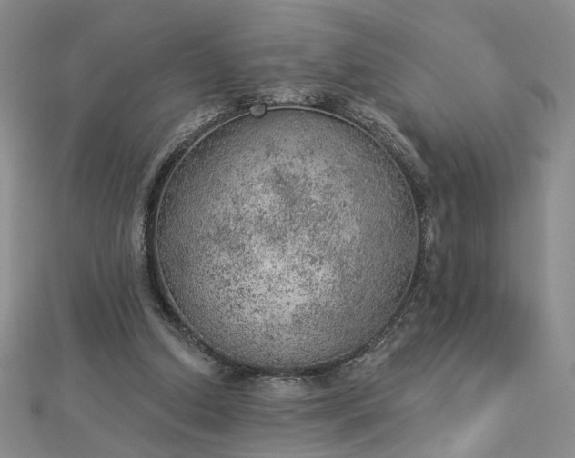 X0000112780250200908271710