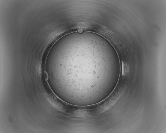 X0000112780252200908271710