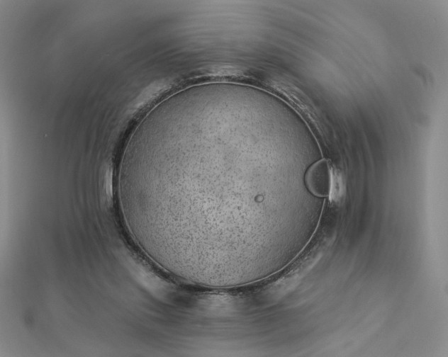 X0000112780253200908271710