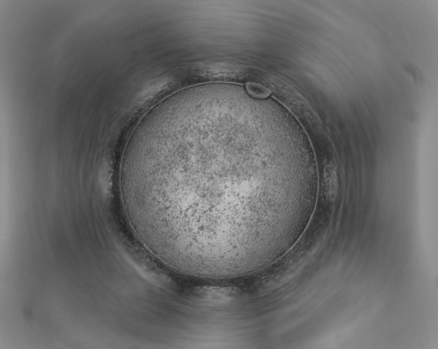 X0000112780255200908271710