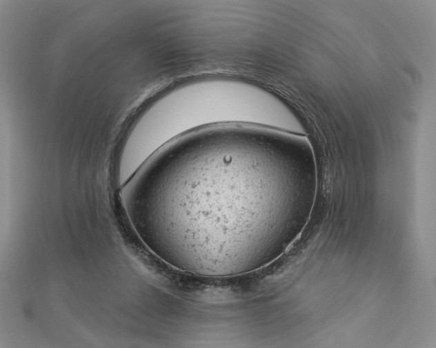 X0000112780256200908271710