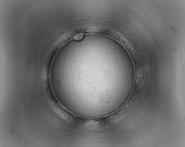 X0000112780257200908271710