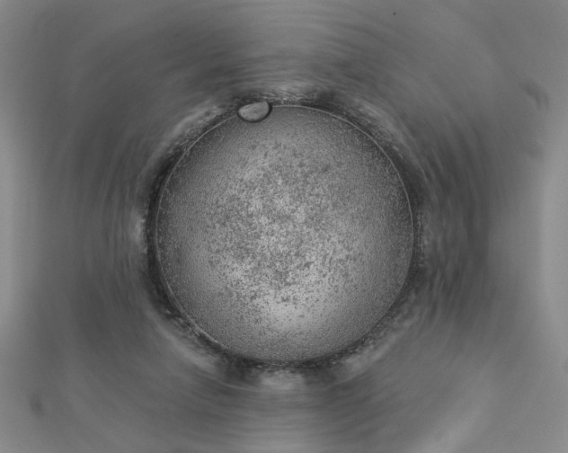 X0000112780258200908271710