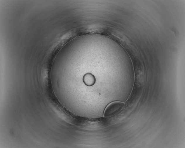 X0000112780260200908271710