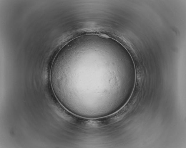 X0000112780261200908271710