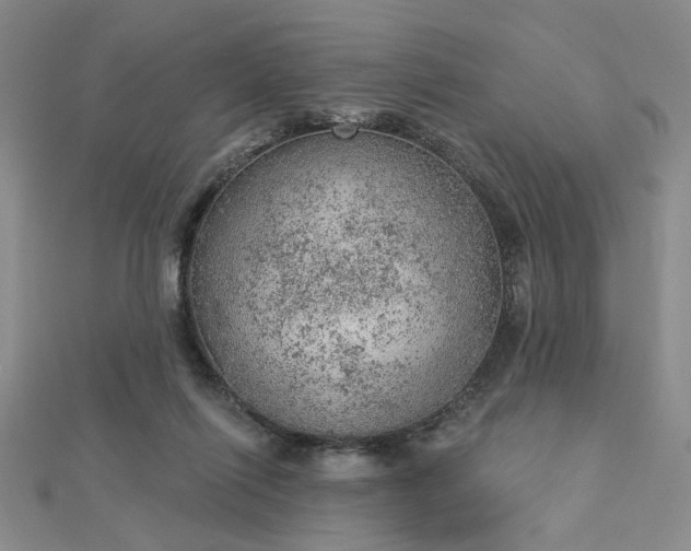 X0000112780262200908271710