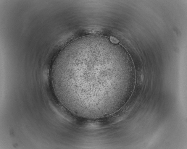 X0000112780263200908271710