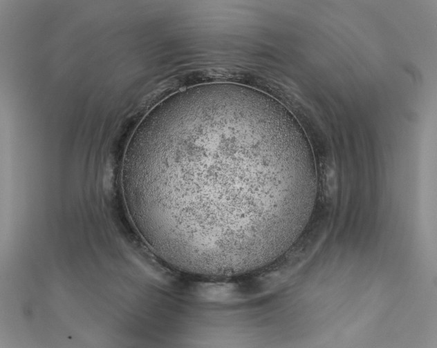 X0000112780266200908271710