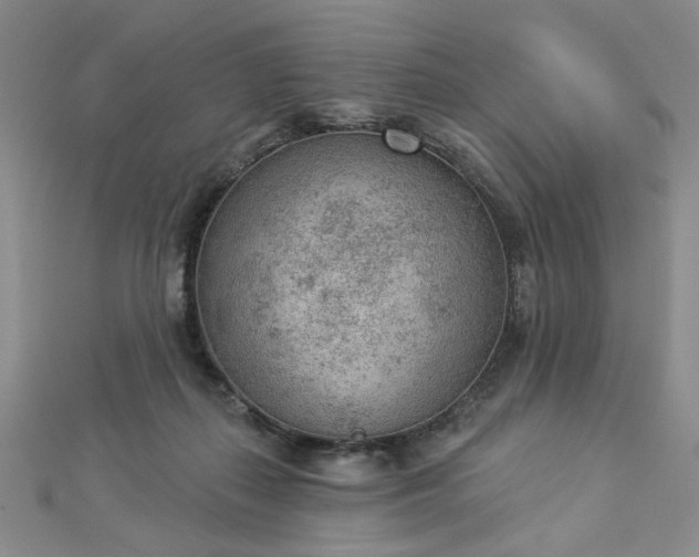 X0000112780267200908271710