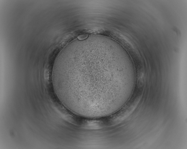 X0000112780268200908271710