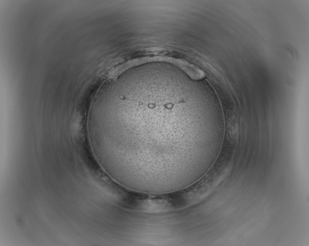 X0000112780270200908271710