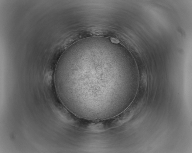 X0000112780271200908271710