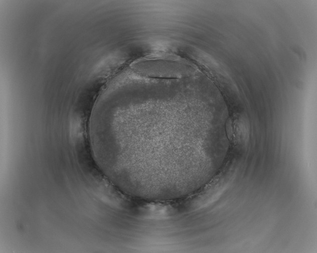 X0000112780272200908271710