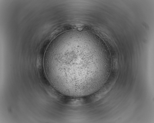 X0000112780274200908271710