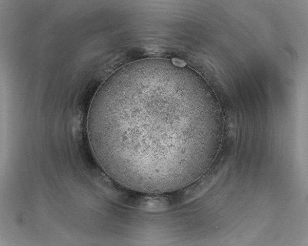 X0000112780275200908271710