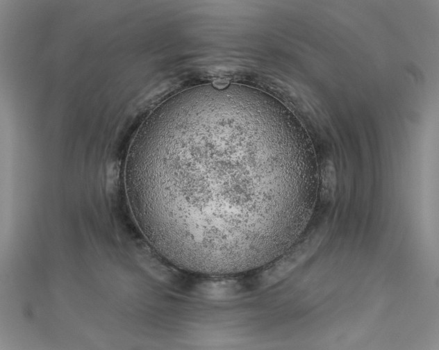 X0000112780278200908271710