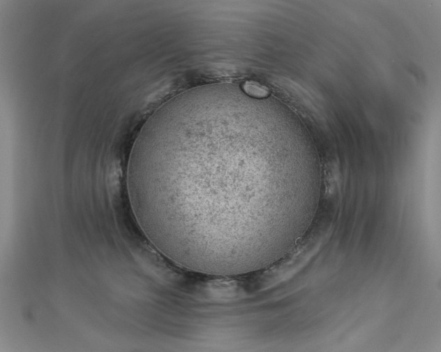 X0000112780279200908271710