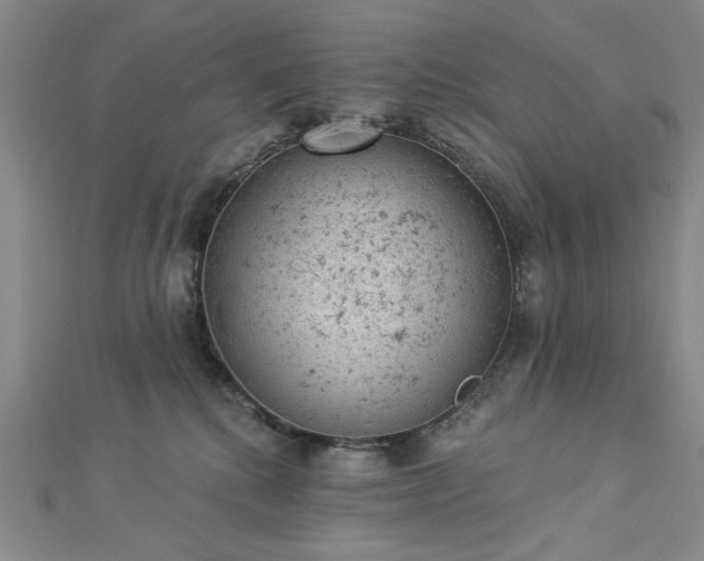 X0000112780280200908271710