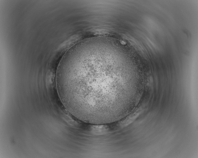 X0000112780281200908271710