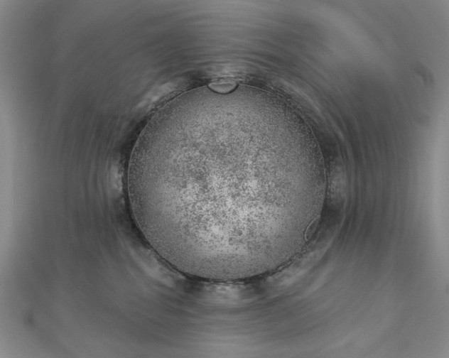 X0000112780282200908271710